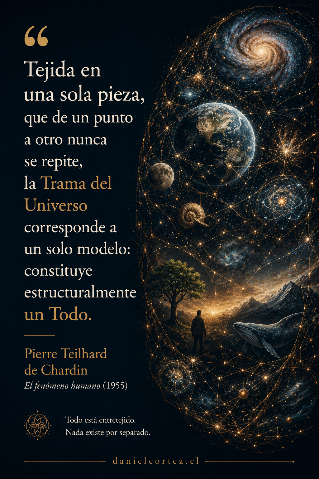 El Universo no es un conjunto de cosas. Es una sola trama.
