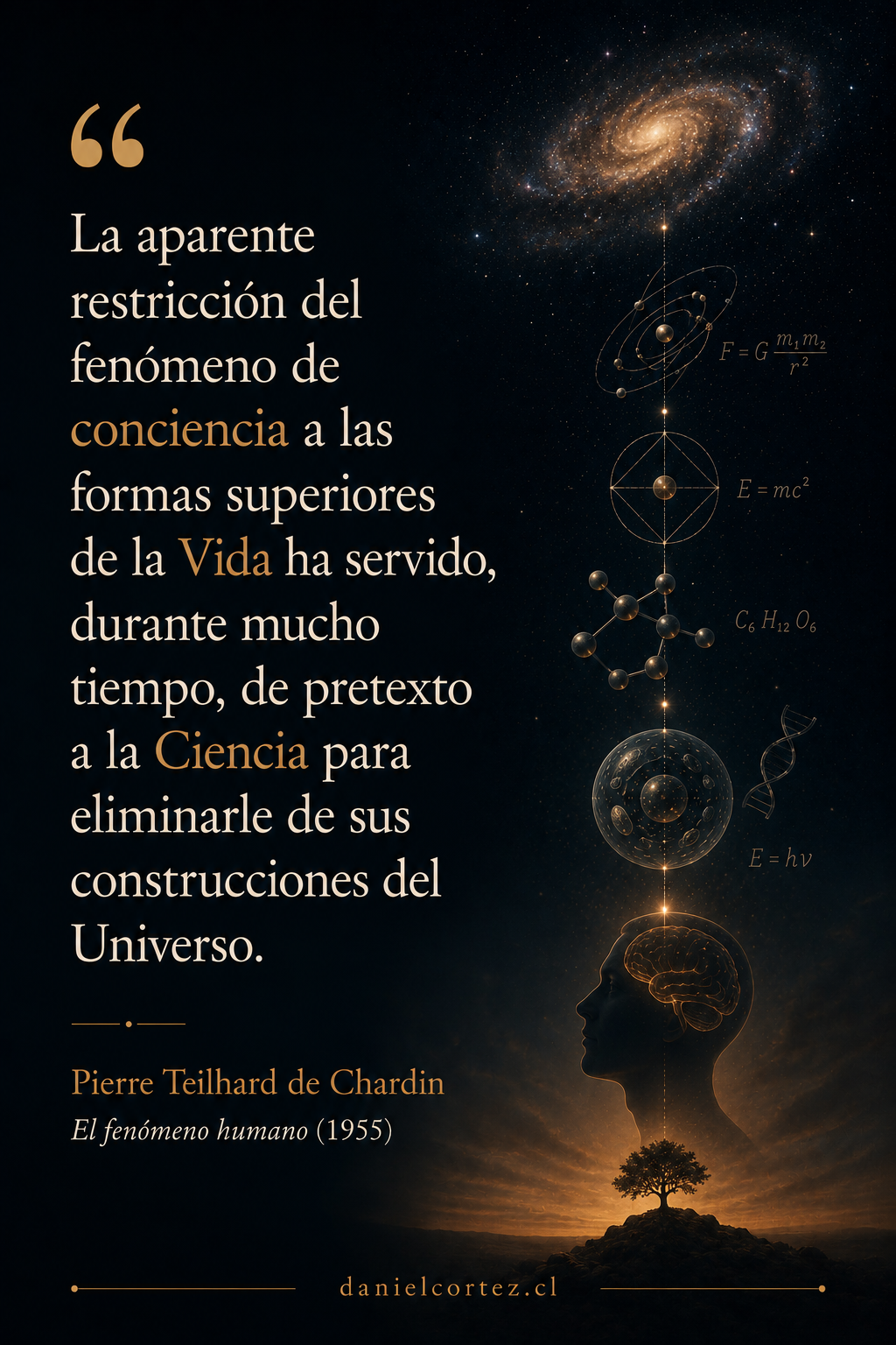 ¿Y si la conciencia no fuera una excepción, sino una propiedad del Universo?