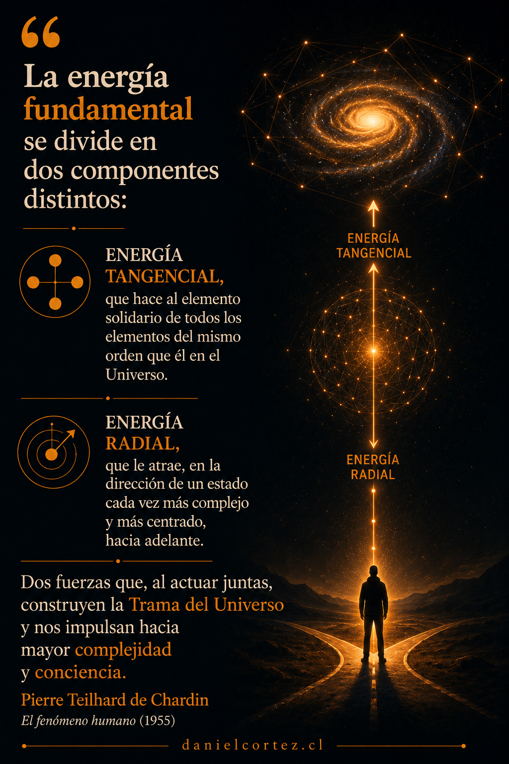 Dos fuerzas impulsan la evolución del Universo